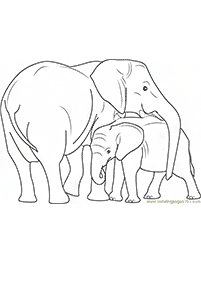 Desenhos de elefantes para colorir – Página de colorir 71