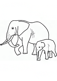 Desenhos de elefantes para colorir – Página de colorir 73