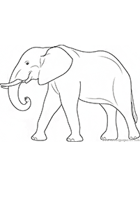 Desenhos de elefantes para colorir – Página de colorir 75