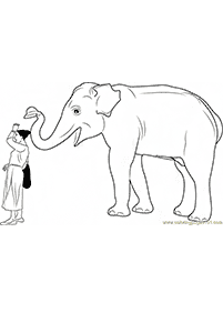 Desenhos de elefantes para colorir – Página de colorir 80