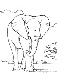 Desenhos de elefantes para colorir – Página de colorir 84