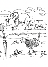 Desenhos de elefantes para colorir – Página de colorir 9