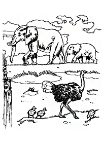 Desenhos de elefantes para colorir – Página de colorir 97