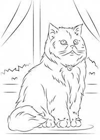 Desenhos de gatos para colorir – Página de colorir 13