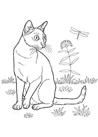 Desenhos de gatos para colorir – Página de colorir 17