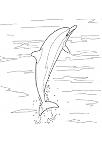 Desenhos de golfinhos para colorir – Página de colorir 13