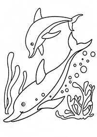 Desenhos de golfinhos para colorir – Página de colorir 22