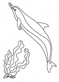 Desenhos de golfinhos para colorir – Página de colorir 30