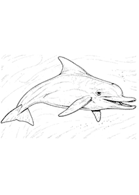 Desenhos de golfinhos para colorir – Página de colorir 33