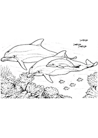 Desenhos de golfinhos para colorir – Página de colorir 45