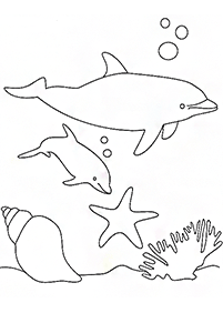 Desenhos de golfinhos para colorir – Página de colorir 51
