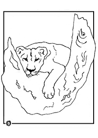 Desenhos de leões para colorir – Página de colorir 12
