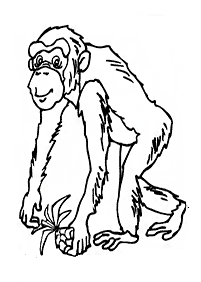 Desenhos de macacos para colorir – Página de colorir 18