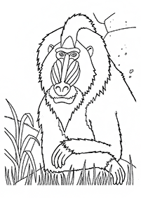 Desenhos de macacos para colorir – Página de colorir 23