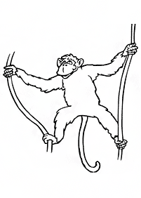 Desenhos de macacos para colorir – Página de colorir 29