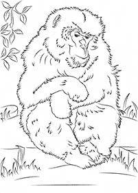 Desenhos de macacos para colorir – Página de colorir 33