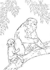 Desenhos de macacos para colorir – Página de colorir 5