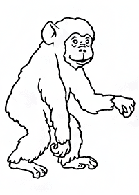 Desenhos de macacos para colorir – Página de colorir 53