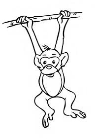 Desenhos de macacos para colorir – Página de colorir 7