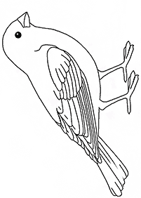 Desenhos de pássaros para colorir – Página de colorir 2