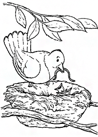 Desenhos de pássaros para colorir – Página de colorir 24