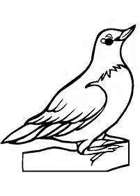 Desenhos de pássaros para colorir – Página de colorir 30