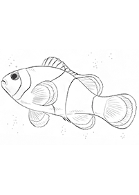 Desenhos de peixes para colorir – Página de colorir 13