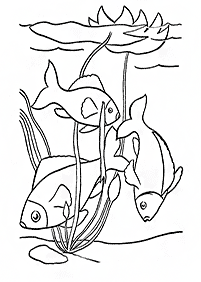 Desenhos de peixes para colorir – Página de colorir 14
