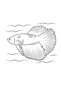 Desenhos de peixes para colorir – Página de colorir 17