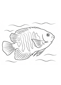 Desenhos de peixes para colorir – Página de colorir 5