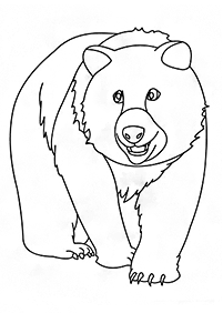 Desenhos de ursos para colorir – Página de colorir 2