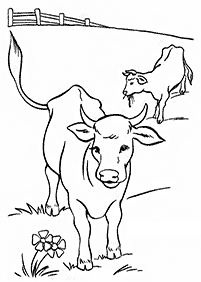 Desenhos de vacas para colorir – Página de colorir 13