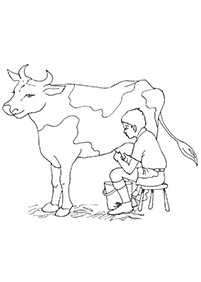 Desenhos de vacas para colorir – Página de colorir 15
