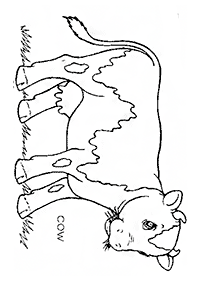 Desenhos de vacas para colorir – Página de colorir 18