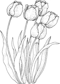 Desenhos de flores para colorir - Página de colorir 22