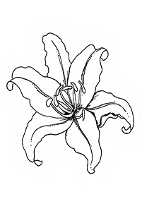 Desenhos de flores para colorir - Página de colorir 24