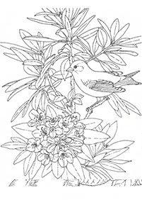 Desenhos de flores para colorir - Página de colorir 25