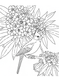 Desenhos de flores para colorir - Página de colorir 29