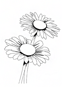 Desenhos de flores para colorir - Página de colorir 3