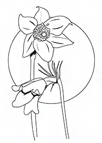 Desenhos de flores para colorir - Página de colorir 31