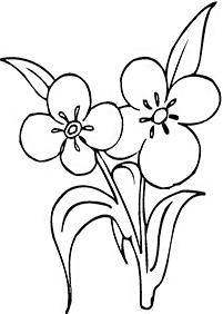 Desenhos de flores para colorir - Página de colorir 69