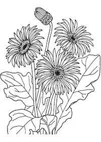 Desenhos de flores para colorir - Página de colorir 9