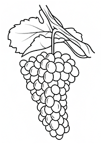 Desenhos de frutas para colorir - Página de colorir 13