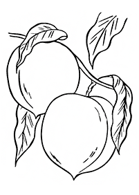 Desenhos de frutas para colorir - Página de colorir 27