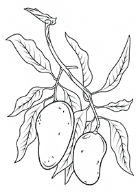 Desenhos de frutas para colorir - Página de colorir 32