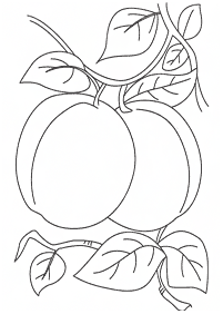 Desenhos de frutas para colorir - Página de colorir 41