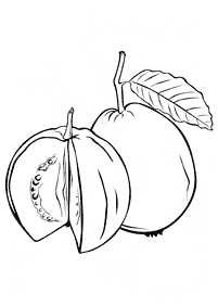 Desenhos de frutas para colorir - Página de colorir 74