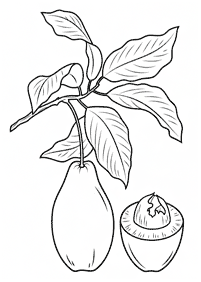 Desenhos de frutas para colorir - Página de colorir 96