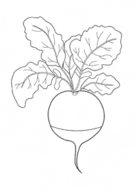 Desenhos de vegetais para colorir – Página de colorir 61