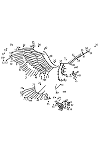 connect the dots - worksheet 10